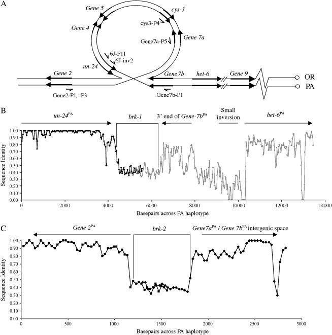 Figure 4.—