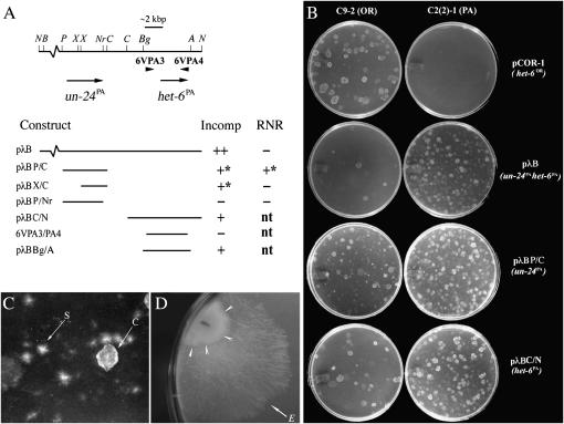 Figure 2.—