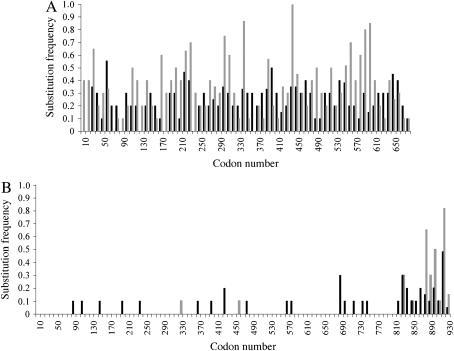 Figure 3.—