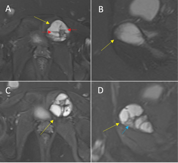 Fig. 8