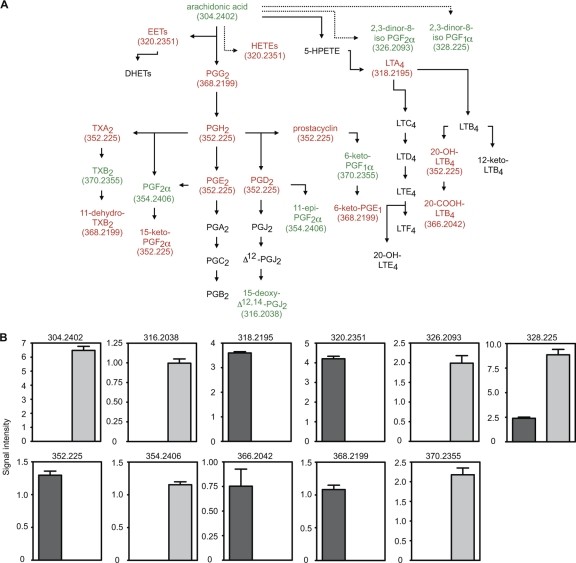 FIG. 6.