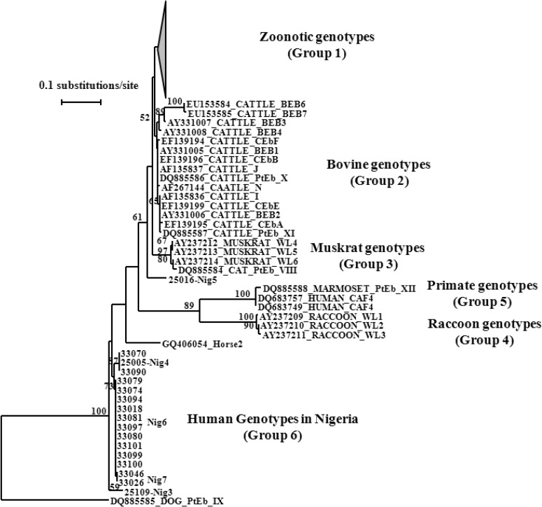 Figure 1.