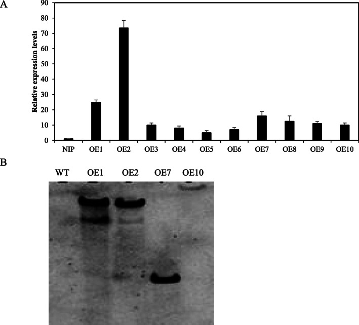 Fig. 4