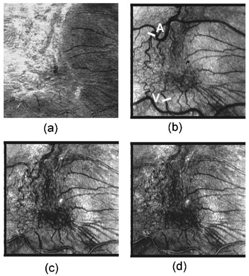 Fig. 6