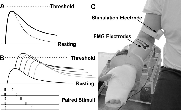 Fig. 1.