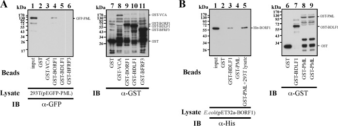 FIG 6