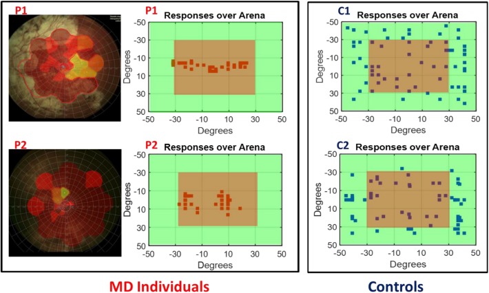 FIGURE 2