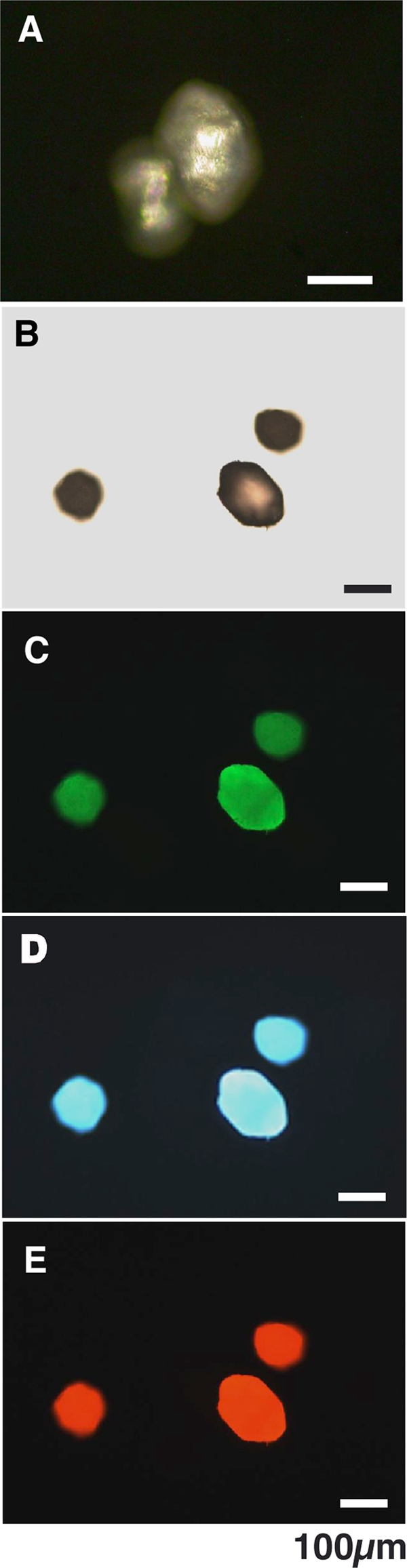 FIG. 1.