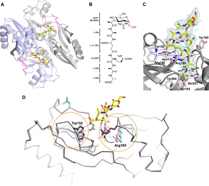 FIGURE 7.