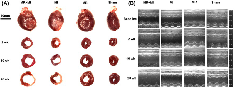 Figure 3: