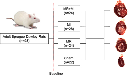 graphic file with name nihms-1538267-f0001.jpg