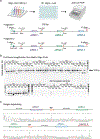 Extended Data Fig. 8 |