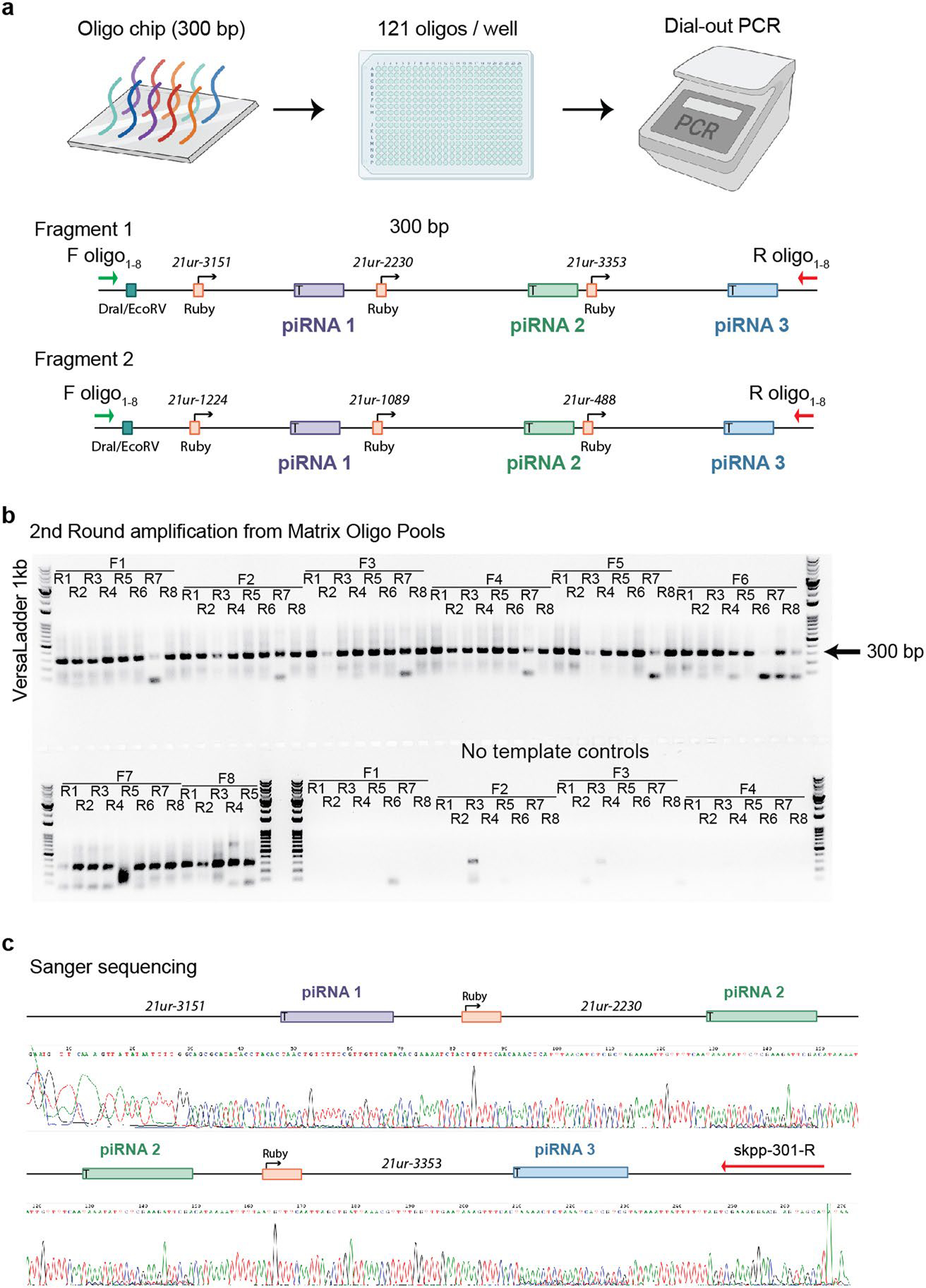 Extended Data Fig. 8 |