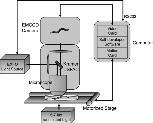 Figure 1.