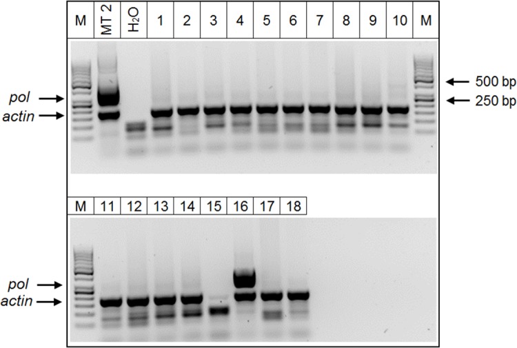 Fig 4