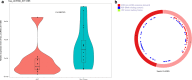Fig. 8