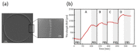 Figure 20