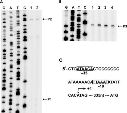 Figure 4.