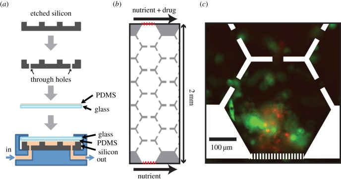 Figure 1.