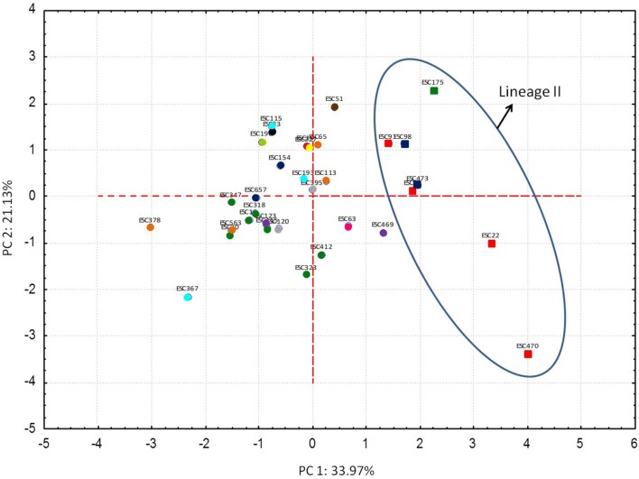 FIGURE 3