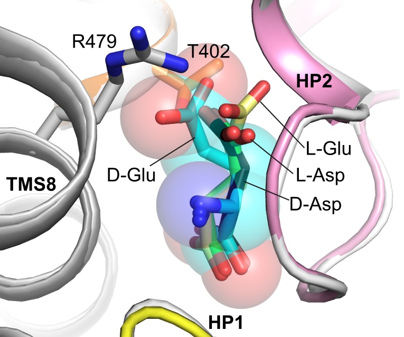Figure 2—figure supplement 3.