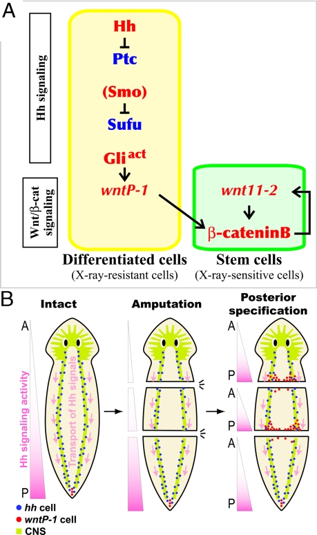 Fig. 6.