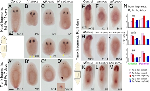 Fig. 3.