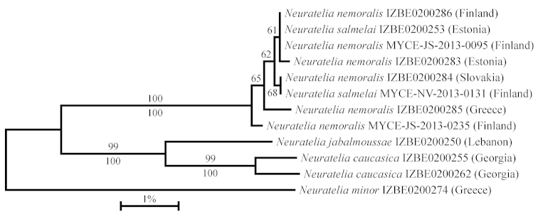 Figure 4.