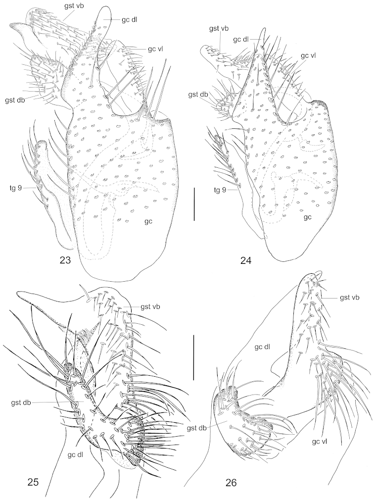 Figures 23–26.