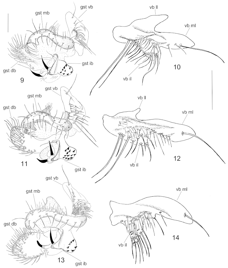 Figures 9–14.