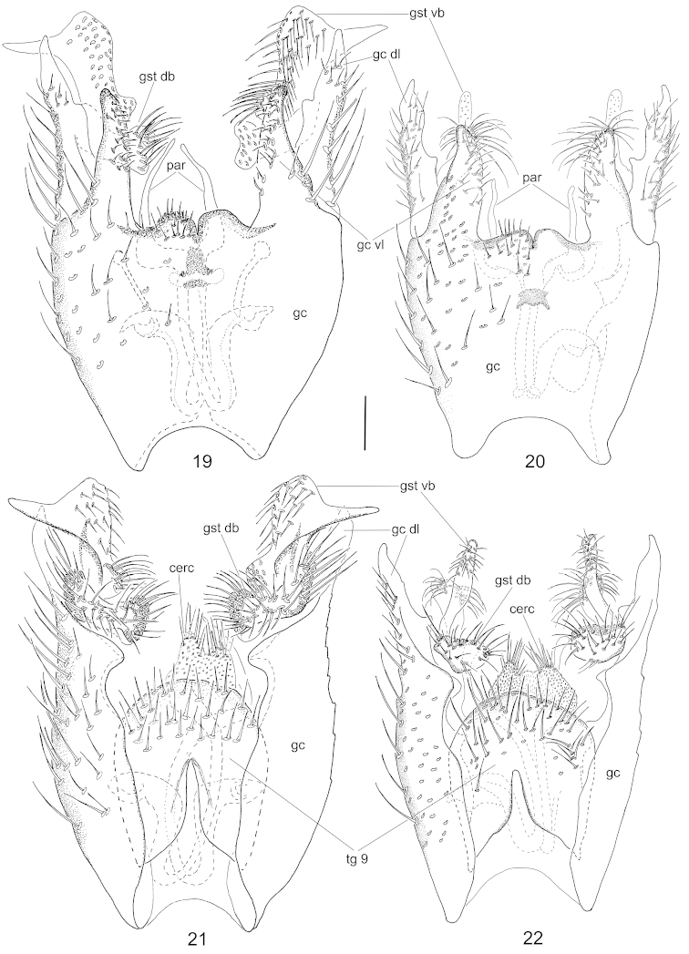 Figures 19–22.