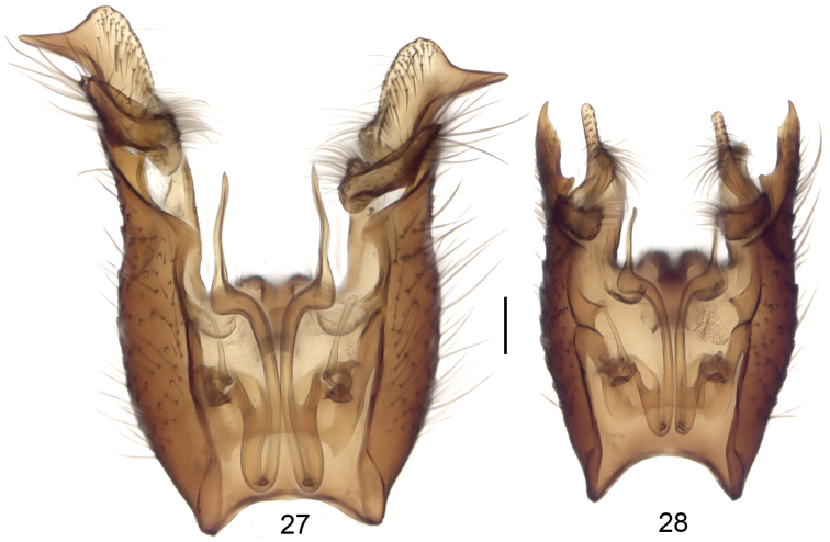 Figures 27–28.