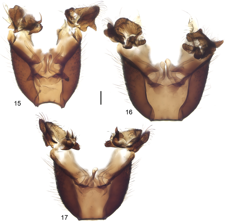 Figures 15–17.