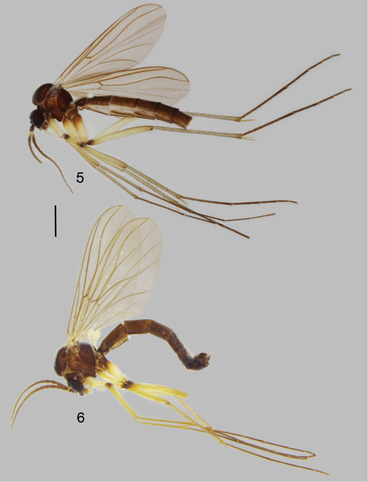 Figures 5–6.