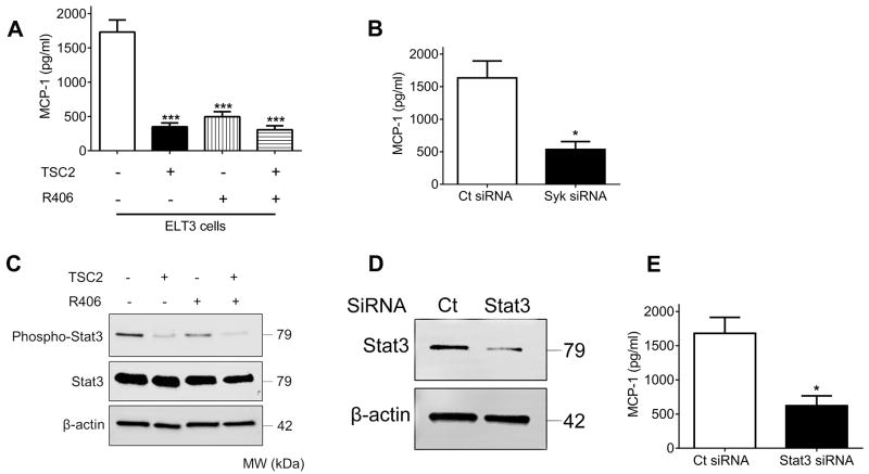 Fig.4