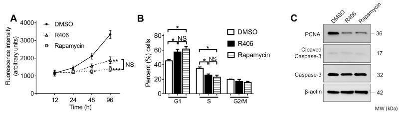 Fig.2