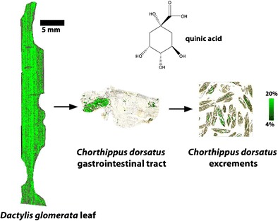 Graphical abstract