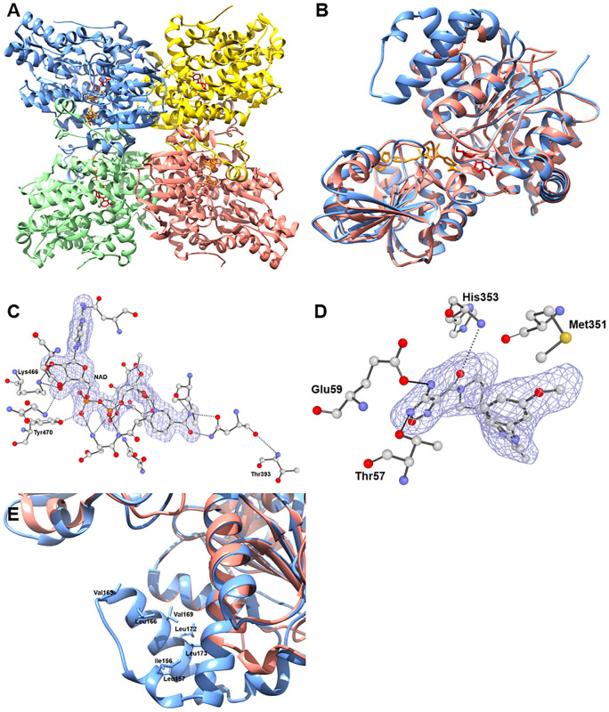 Fig 1