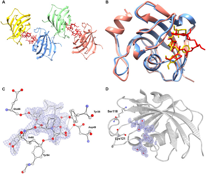 Fig 4