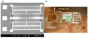Figure 22