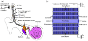 Figure 21