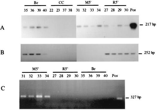 FIG. 5