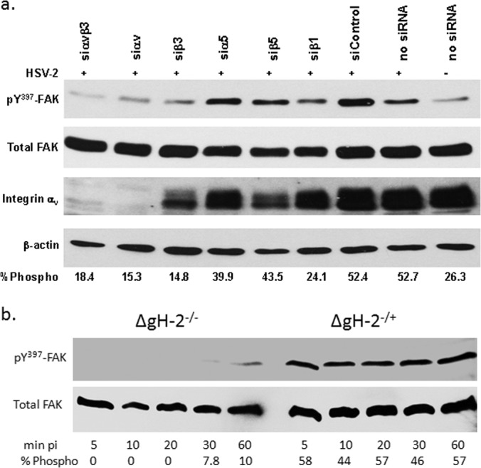 FIG 8