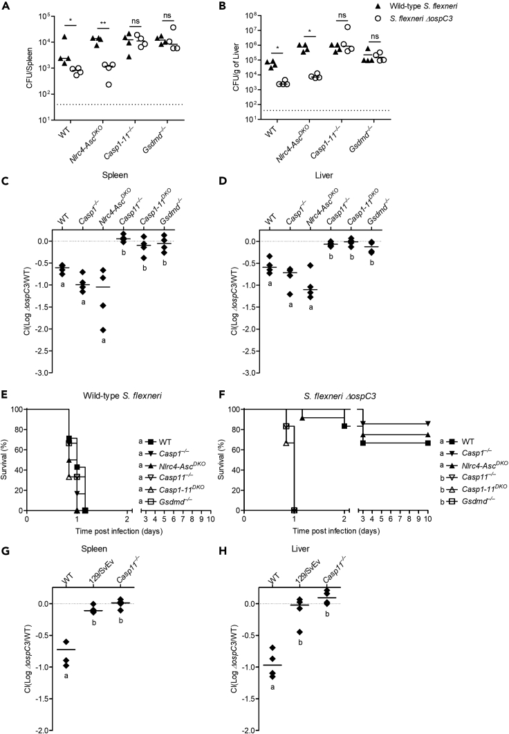 Figure 4