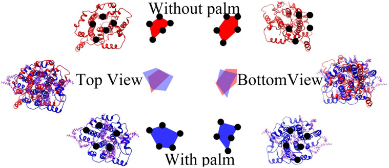 Figure 2: