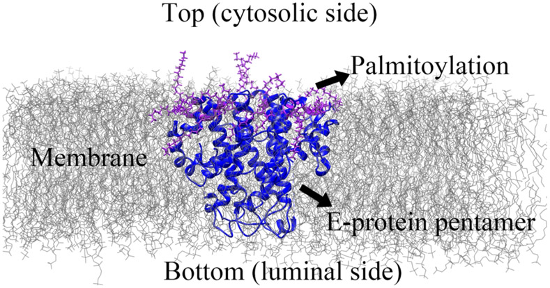 Figure 1: