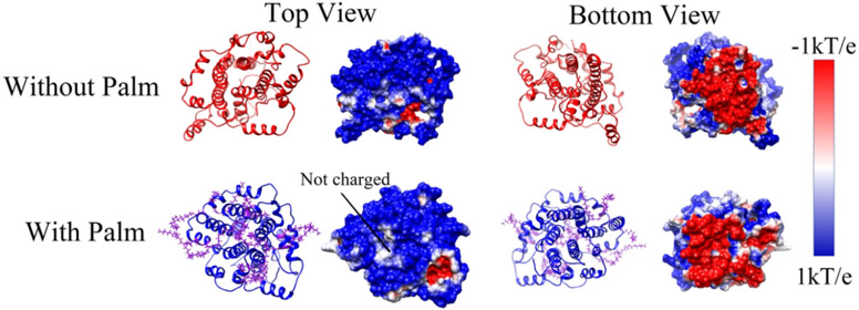 Figure 5: