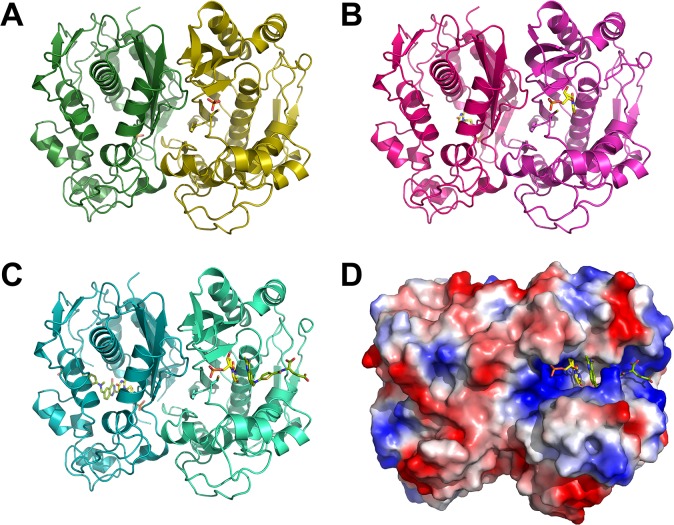 Fig 1