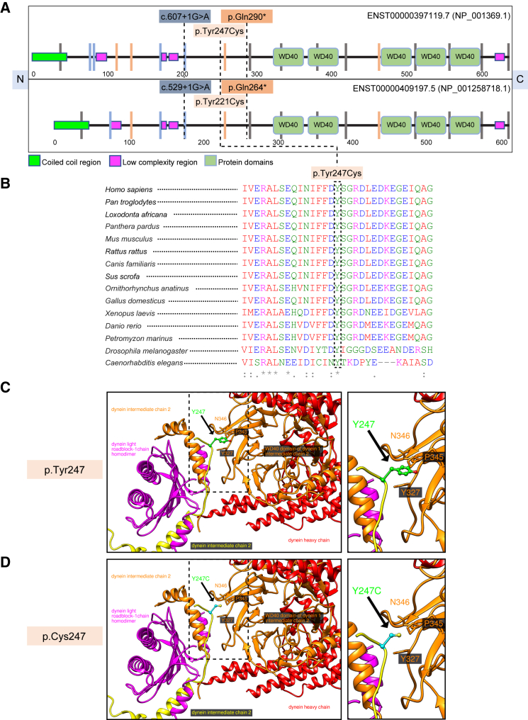 Figure 2