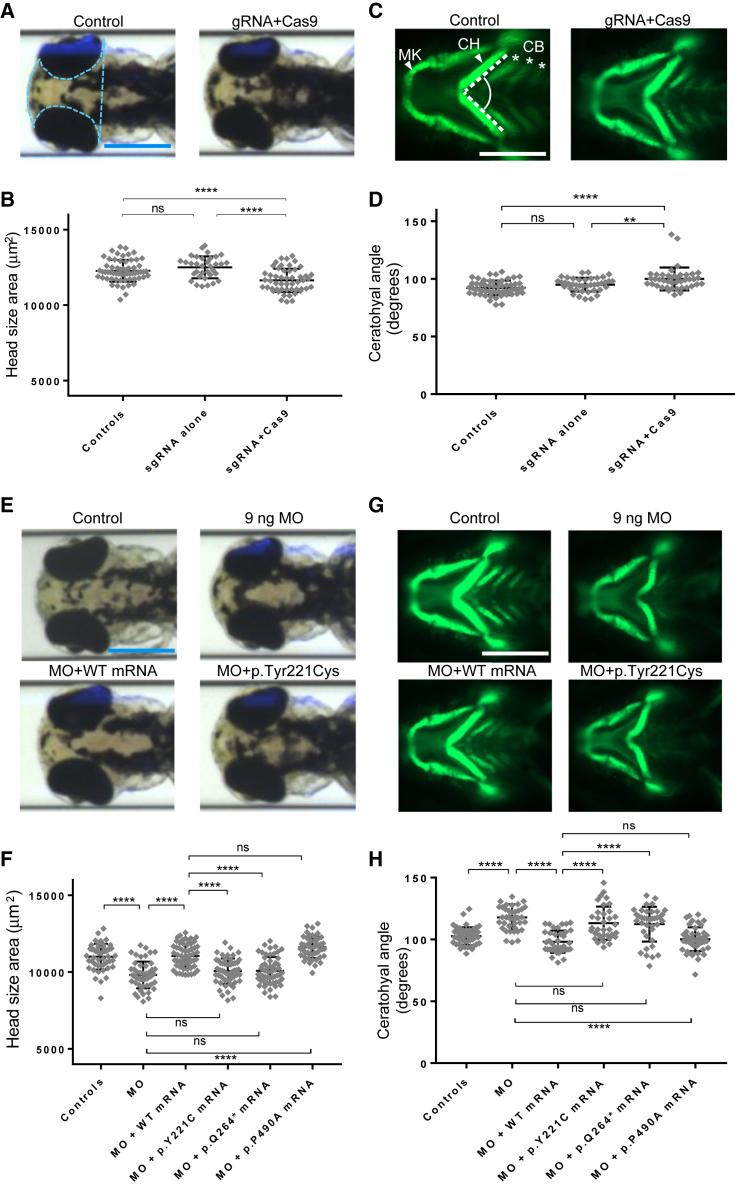 Figure 3